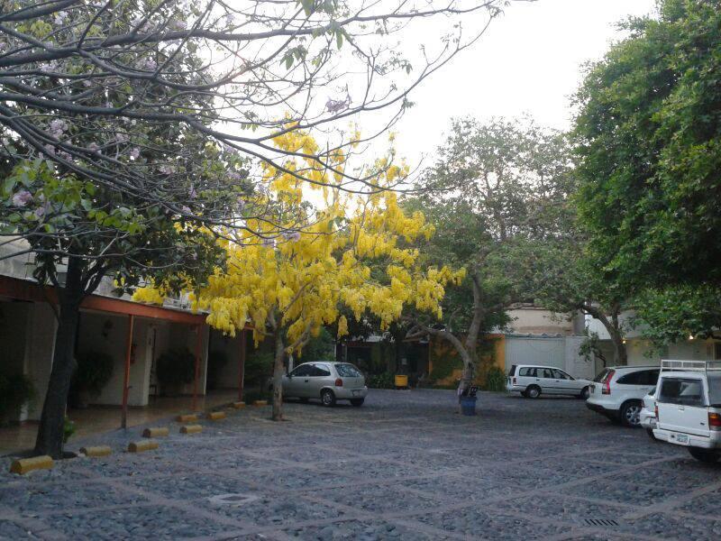 גואדלחארה Hotel Isabel מראה חיצוני תמונה